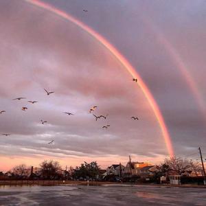 伊斯兰美女毛茸茸屄
