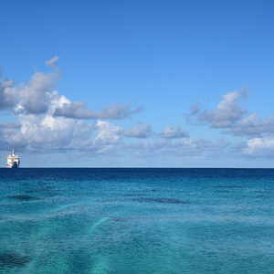 伊斯兰美女毛茸茸屄
